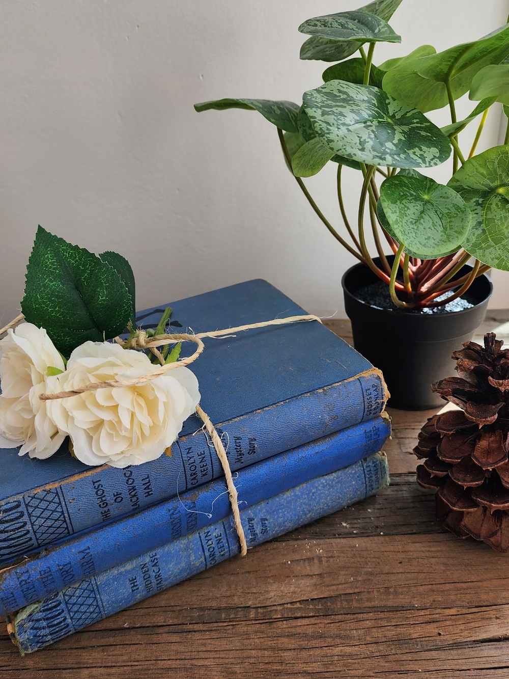 Vintage 3 Book Bundle Home Decor  Nancy Drew Titles with Cream Floral Accent